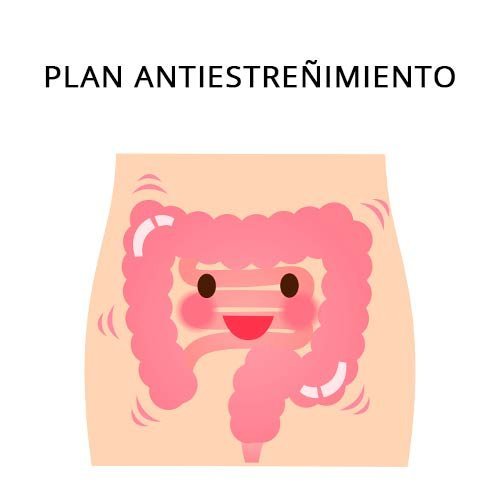Plan Antiestrenimiento.jpg